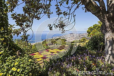 Famous Tropical Botanical Gardens in Funchal town, Madeira island, Portugal Stock Photo