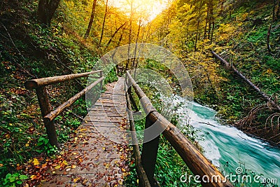 The famous Vintgar Canyon with wooden pats,Bled,Triglav,Slovenia Stock Photo