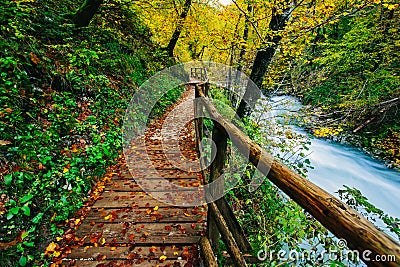 The famous Vintgar Canyon with wooden pats,Bled,Triglav,Slovenia Stock Photo