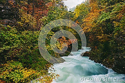 The famous Vintgar gorge Canyon, Bled,Triglav,Slovenia,Europe Stock Photo