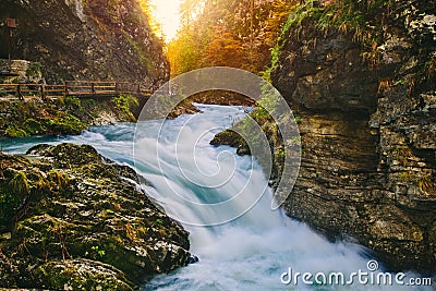 The famous Vintgar gorge Canyon with wooden pats Stock Photo