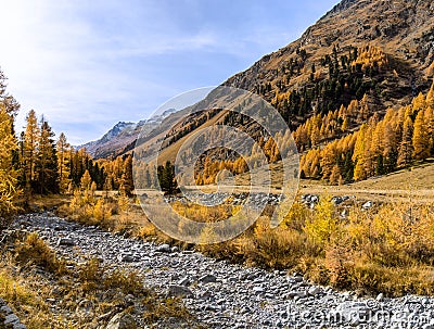 The famouse recreational Roseg Valley in the golden autumn Stock Photo