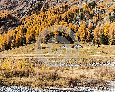 The famouse Roseg Valley in the golden autumn season Stock Photo