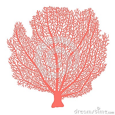 Fan coral hand drawn illustration Vector Illustration