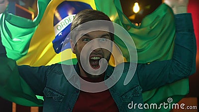 Fan de sports barbue ondulant le drapeau du Br?sil dans la barre, extr?mement heureuse au sujet de la victoire d'?quipe banque de vidéos Fan de sports barbue ondulant le drapeau du Br?sil dans la barre, extr?mement heureuse au sujet de la victoire d'?quipe banque de vidéos