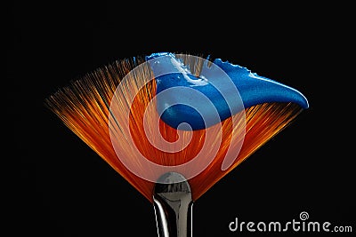 Fan shaped paintbrush with paint in blue color at the tip. Artistic flat fan shaped paintbrush against a black background Stock Photo