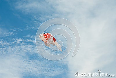 Fancy carp fish shaped kite flying in blue cloudy sky Stock Photo