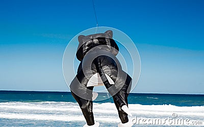 Fancy kite design in 3D black cat flying in the sky on Bondi beach, Sydney, Australia. Stock Photo