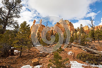 Hoodoos in Red Canyon, Utah Stock Photo