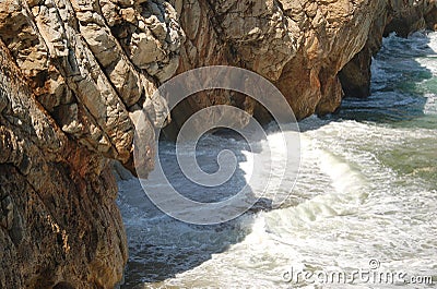 Fancy a swim?? Stock Photo