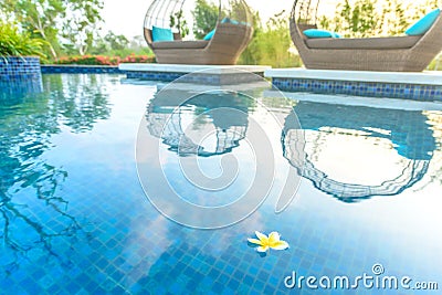 Fangipani Flower floating in a resort pool with daybeds and garden in the background glowing in the morning sunshine Stock Photo