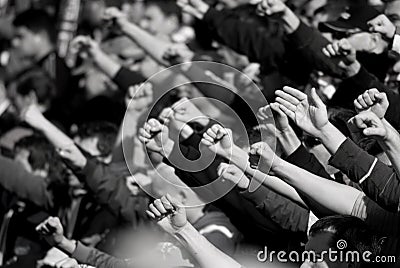 Fans Stock Photo