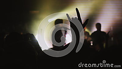 Fans waving their hands. Crowd partying at a concert or a night club. Stock Photo