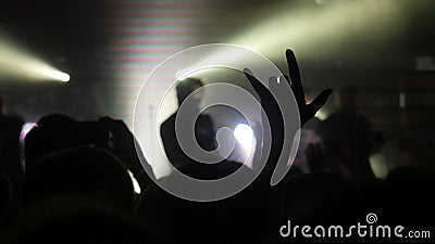 Fans waving their hands at a rock concert. Stock Photo