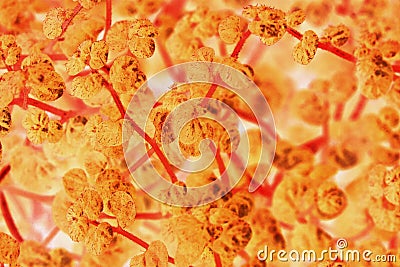 Fantastic abstract organic background Stock Photo