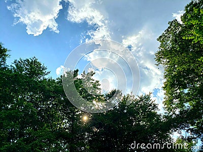 Fantastic Array of Natures Beauty of Trees Clouds Sky and Sun Stock Photo