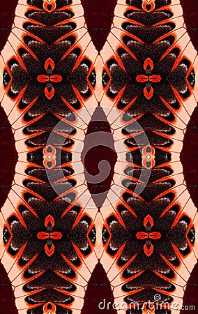 Fantastic exotic texture, butterfly wings pattern, unusual ornamental background, red black white zigzags wallpaper Stock Photo