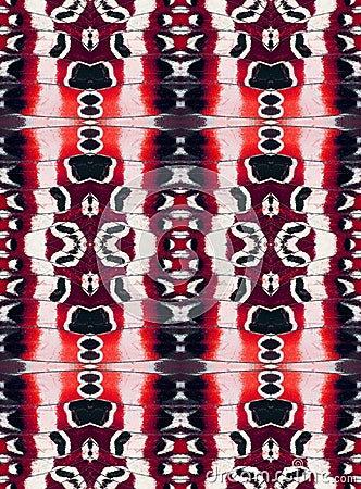 Fantastic exotic texture, butterfly wings pattern, unusual ornamental background, red black white zigzags wallpaper Stock Photo