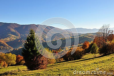 Fantastic foggy autumn morning and bright grass in sunlight. Carpathian, Ukraine, Europe Stock Photo