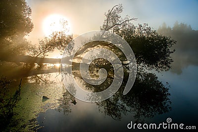 Fantastic foggy river with nice reflection and rays of light in the sunlight Stock Photo