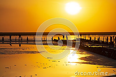 Fantastic golden sunset over Syvash salt lake. Beautiful ukrainian nature Stock Photo