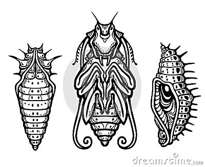 Fantastic larva of an insect. Vector Illustration