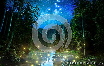 Fantastic night forest Stock Photo