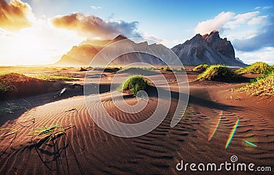 Fantastic west of the mountains and volcanic lava sand dunes on the beach Stokksness, Iceland. Stock Photo