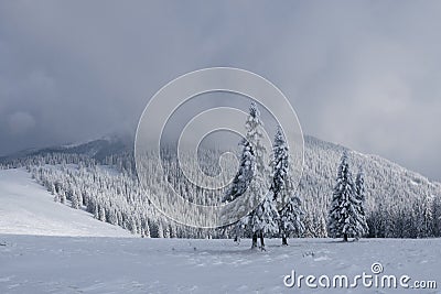 Fantastic winter landscape Stock Photo