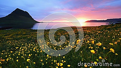 Fantastischer Sonnenuntergang in Island, ein Scharfgebirgsberg und ein rosa Himmel machen ein unglaubliches Bild Fantastischer Sonnenuntergang in Island, ein Scharfgebirgsberg und ein rosa Himmel machen ein unglaubliches Bild