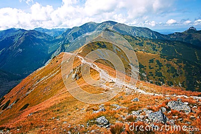 Fantasy and colorfull nature landscape. Carpathia. Stock Photo