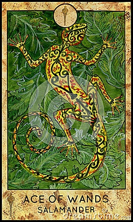 Salamander. Ace of wands Cartoon Illustration