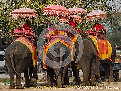 Fantasy elephent in thailand Editorial Stock Photo