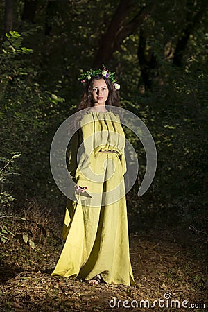 Fantasy Fairy Tale Forest Stock Photo