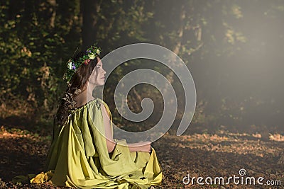 Fantasy Fairy Tale Forest Stock Photo