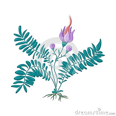 Fantasy fern flower botanical illustration Vector Illustration