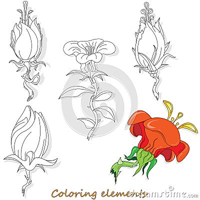 Fantasy flower elements illustration set on white isolated. Vector image. Coloring page Vector Illustration