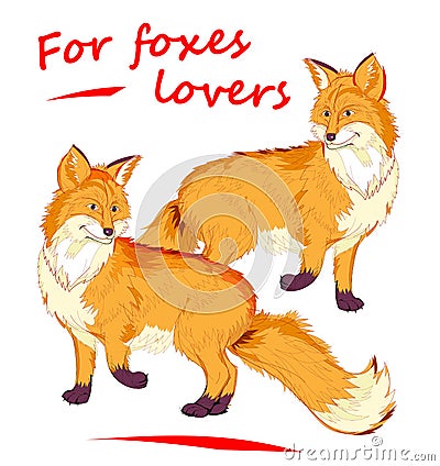 Fantasy illustration of two cute red foxes on white background. Kids book cover. Modern print for fashionable fabric, textile, Vector Illustration