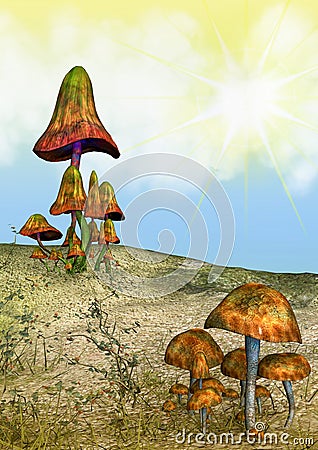 Fantasy Land with Mushrooms Stock Photo