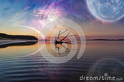 Fantasy landscape with driftwood, huge planet in the sky, galaxy Stock Photo