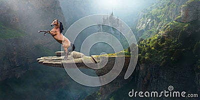 Fantasy Wild Horse, Imagination, Nature, Surreal Stock Photo