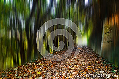 Fantasy magical autumn leaves forest Stock Photo