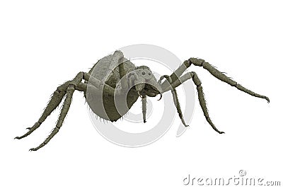 Fantasy monster giant green spider attacking prey. 3D rendering isolated on white background Cartoon Illustration