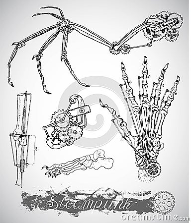 Fantasy monster wing, leg and hand with vintage mechanism in steam punk style Vector Illustration