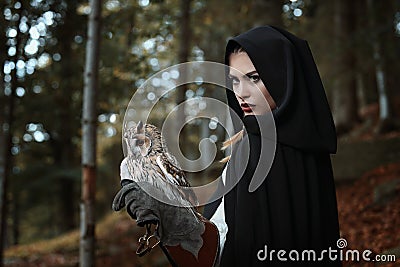 Fantasy owl master Stock Photo