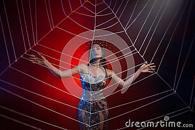 Fantasy photo of spider-queen woman in shiny silver dress, touching large cobweb with hands. Carnival costume black Stock Photo
