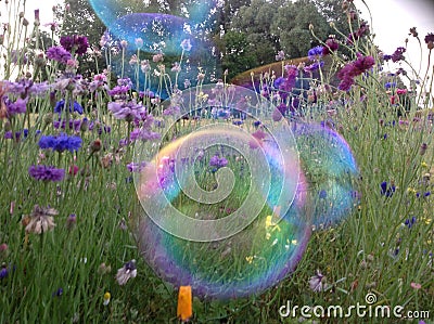 Fantasy rainbow bubbles and flowers Stock Photo