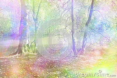 Fantasy Rainbow Woodland Stock Photo