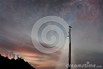 Fantasy scene with bird standing on a light pole Stock Photo