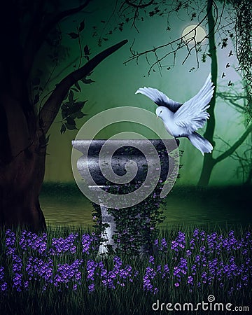 Fantasy scene with dove Stock Photo